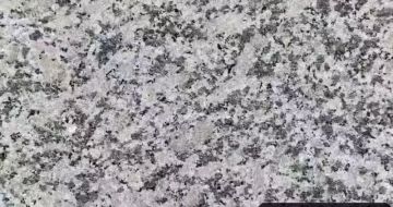 上饶 芙蓉白（芝麻白大花）火烧面