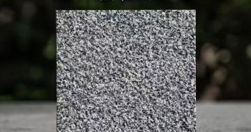 上饶 芝麻黑荔枝面