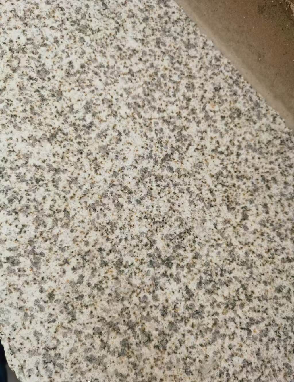 上饶 黄金麻中黄光面